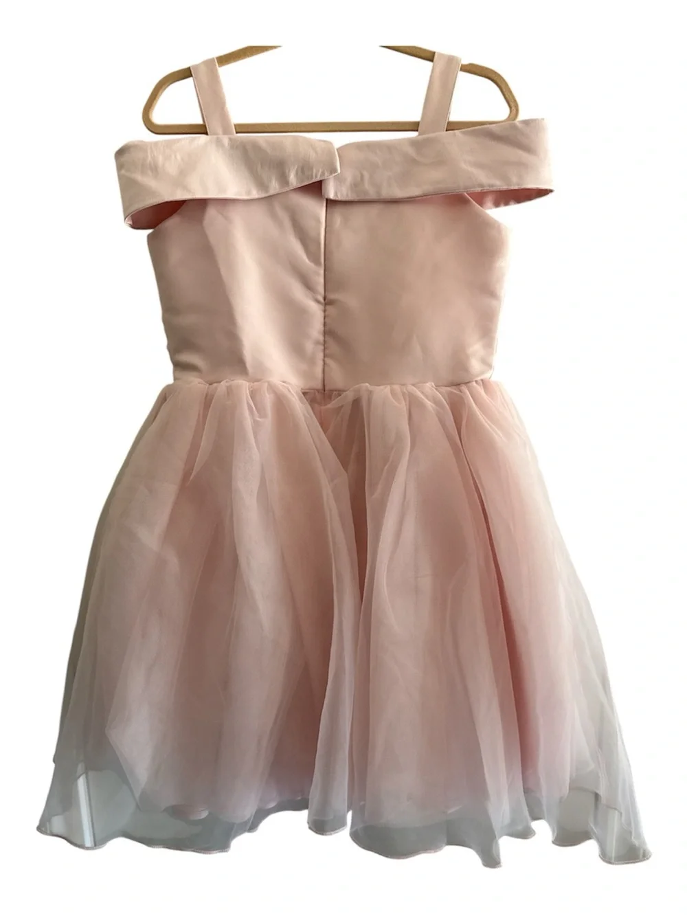 Disney Princess Aurora Blush Pink Floral Applique Tulle Embroidered Pearl Dress